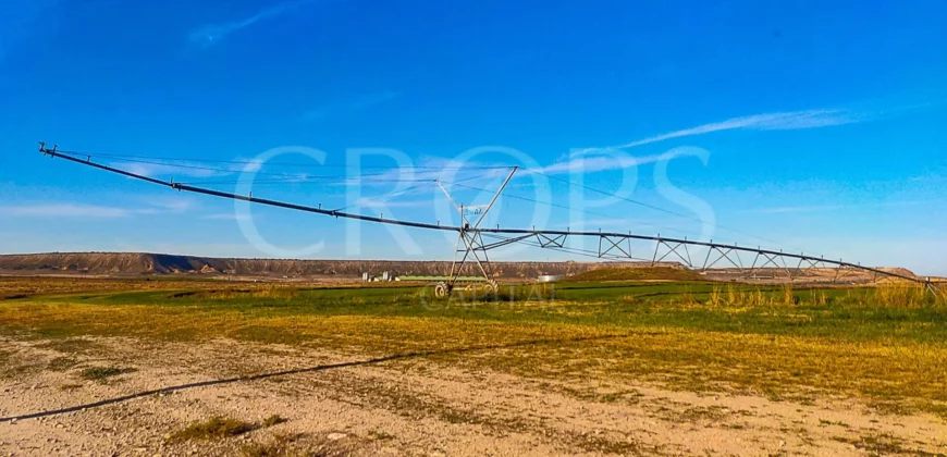 Finca agrícola de regadío en Huesca