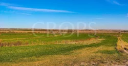 Finca agrícola de regadío en Huesca