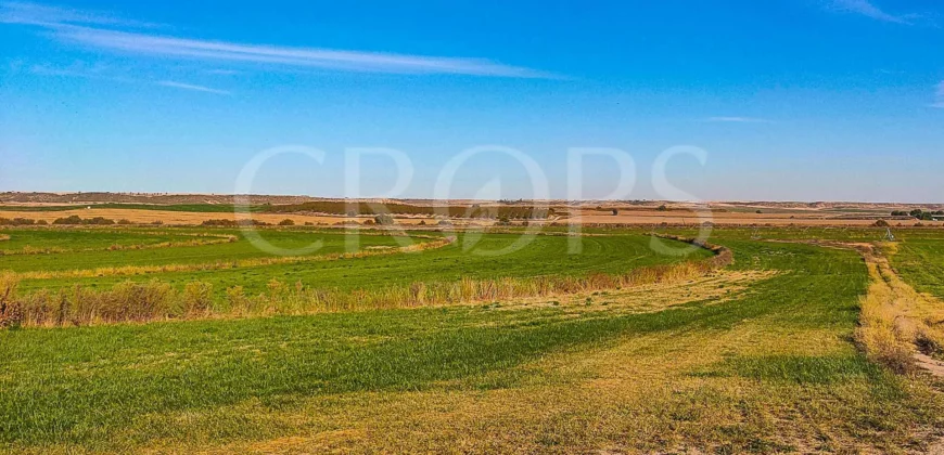 Finca agrícola de regadío en Huesca