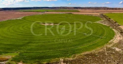 Finca agrícola de regadío en Huesca