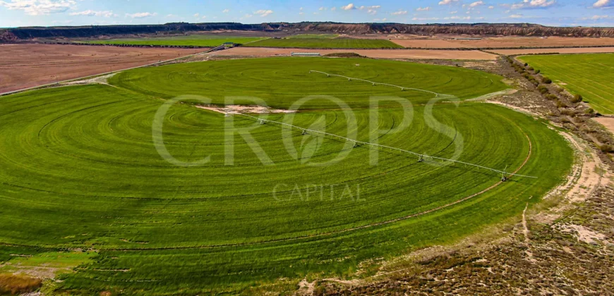 Finca agrícola de regadío en Huesca