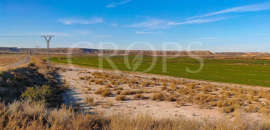 Finca agrícola de regadío en Huesca