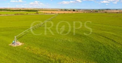 Finca agrícola de regadío en Huesca