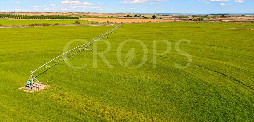 Finca agrícola de regadío en Huesca