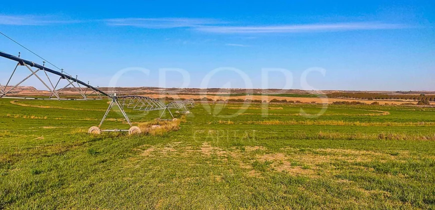 Finca agrícola de regadío en Huesca