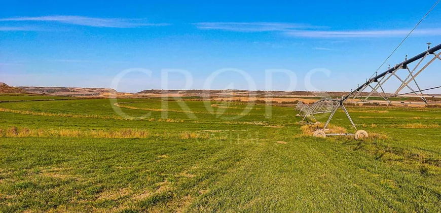 Finca agrícola de regadío en Huesca