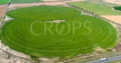 Finca agrícola de regadío en Huesca