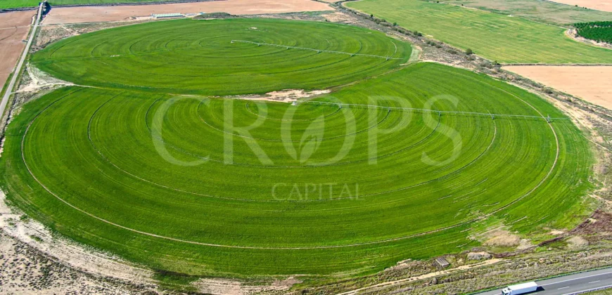 Finca agrícola de regadío en Huesca