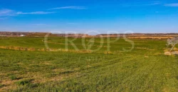 Finca agrícola de regadío en Huesca