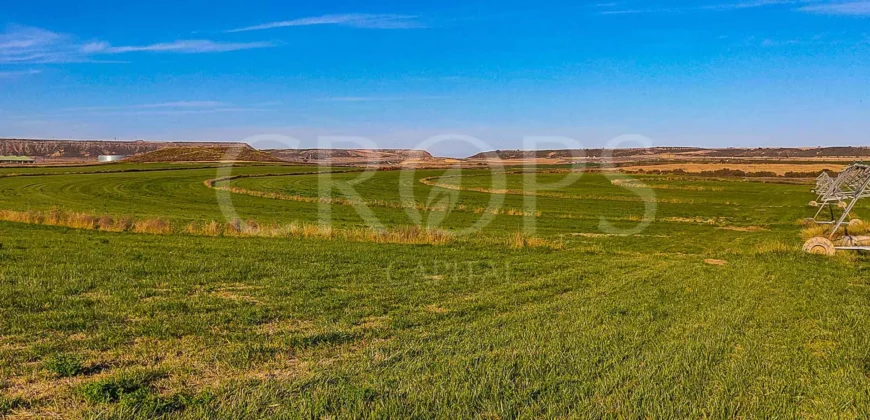 Finca agrícola de regadío en Huesca