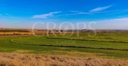 Finca agrícola de regadío en Huesca