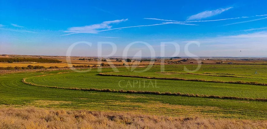 Finca agrícola de regadío en Huesca