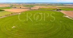 Finca agrícola de regadío en Huesca