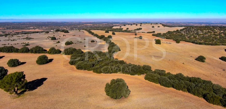 En venta finca rústica con vivienda y coto de caza mayor en Albacete