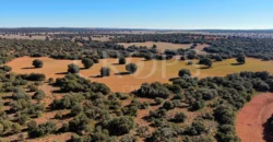 En venta finca rústica con vivienda y coto de caza mayor en Albacete