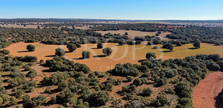 En venta finca rústica con vivienda y coto de caza mayor en Albacete