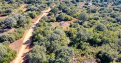 En venta finca rústica con vivienda y coto de caza mayor en Albacete