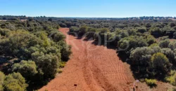 En venta finca rústica con vivienda y coto de caza mayor en Albacete