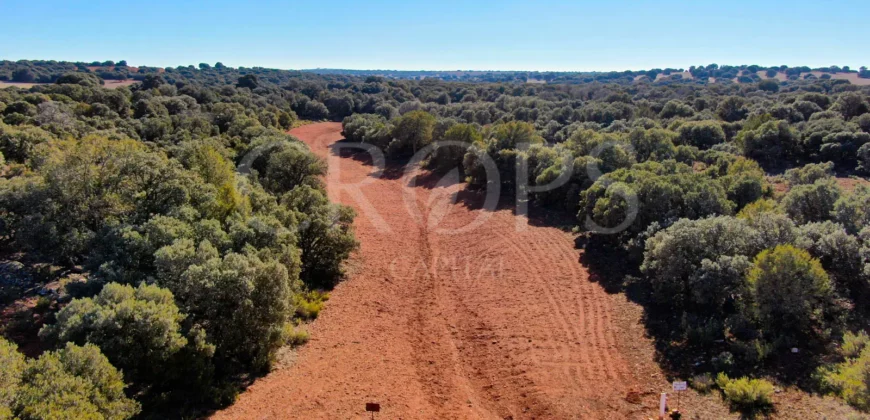 En venta finca rústica con vivienda y coto de caza mayor en Albacete