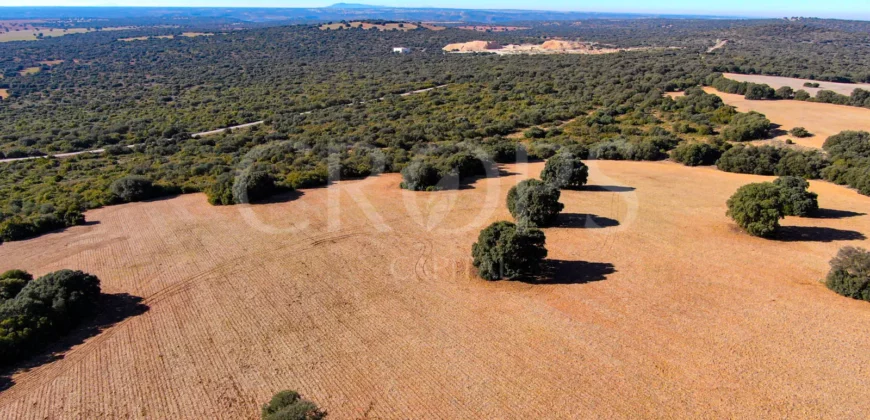 En venta finca rústica con vivienda y coto de caza mayor en Albacete