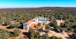 En venta finca rústica con vivienda y coto de caza mayor en Albacete