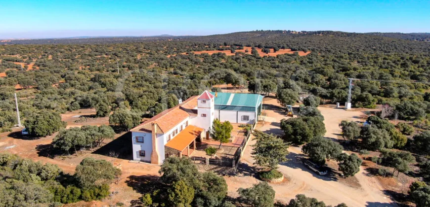 En venta finca rústica con vivienda y coto de caza mayor en Albacete