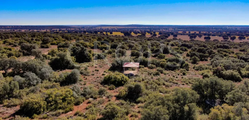 En venta finca rústica con vivienda y coto de caza mayor en Albacete