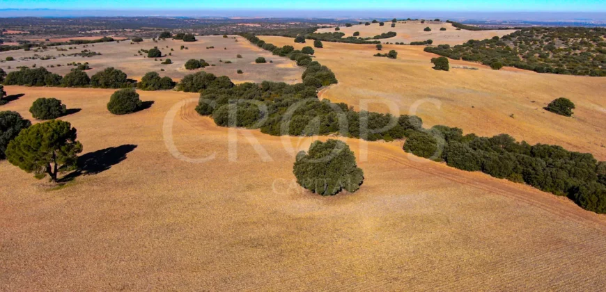 En venta finca rústica con vivienda y coto de caza mayor en Albacete