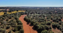 En venta finca rústica con vivienda y coto de caza mayor en Albacete