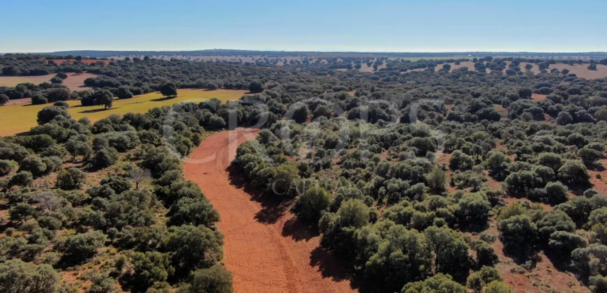 En venta finca rústica con vivienda y coto de caza mayor en Albacete