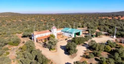 En venta finca rústica con vivienda y coto de caza mayor en Albacete