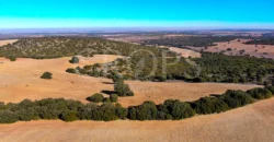 En venta finca rústica con vivienda y coto de caza mayor en Albacete