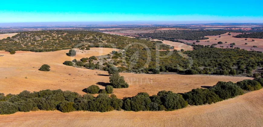 En venta finca rústica con vivienda y coto de caza mayor en Albacete