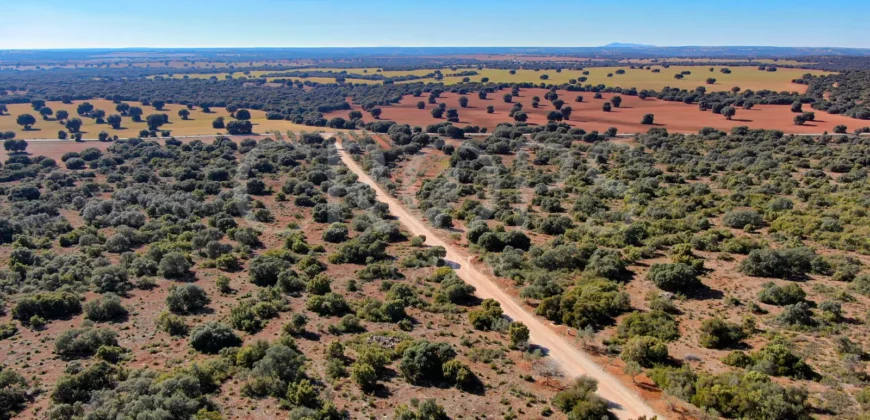 En venta finca rústica con vivienda y coto de caza mayor en Albacete