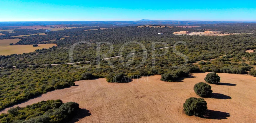 En venta finca rústica con vivienda y coto de caza mayor en Albacete