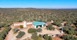 En venta finca rústica con vivienda y coto de caza mayor en Albacete