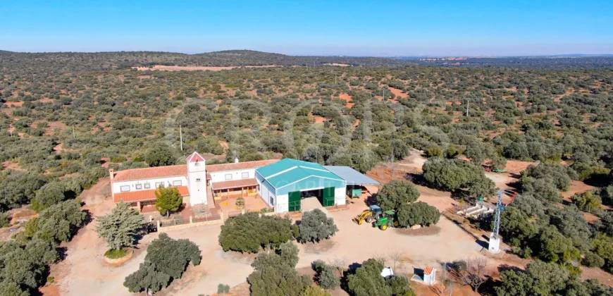 En venta finca rústica con vivienda y coto de caza mayor en Albacete