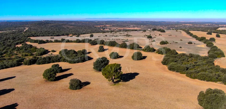 En venta finca rústica con vivienda y coto de caza mayor en Albacete