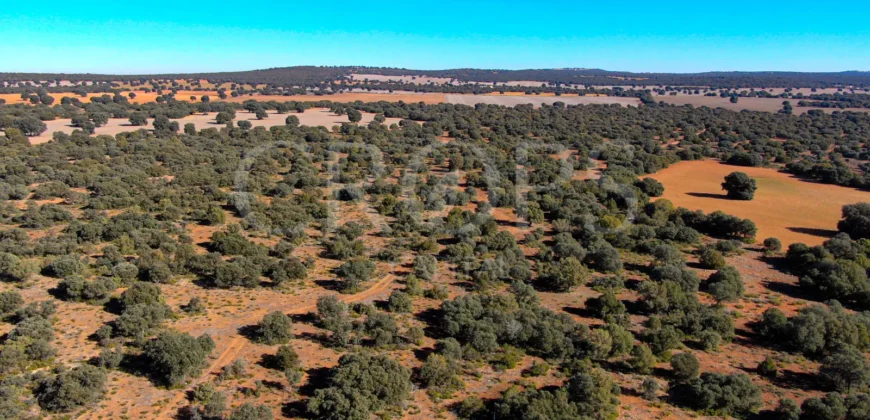 En venta finca rústica con vivienda y coto de caza mayor en Albacete