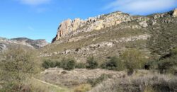 Venta de finca agrícola en Huesca 