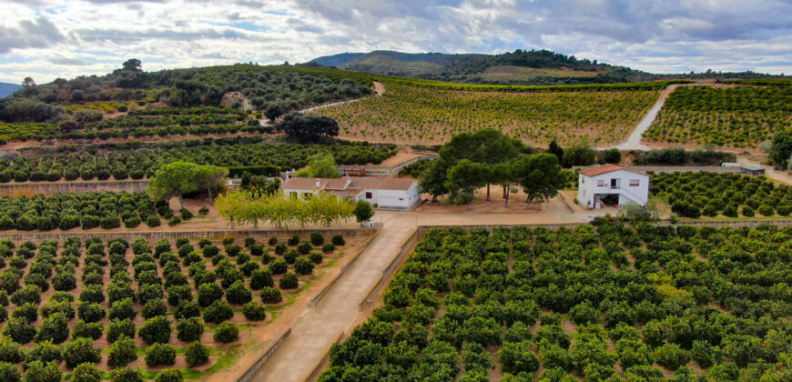 Finca de ocio con aprovechamiento agrícola y ganadero en la provincia de Tarragona