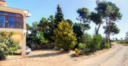 Venta de finca agrícola con plantación de olivos y frutales con masía en Alicante