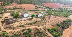 Venta de finca cinegética y agrícola en Ciudad Real