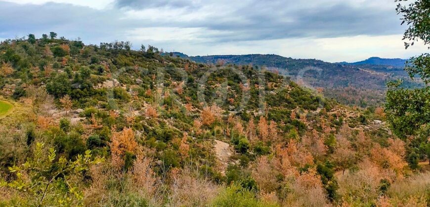 Finca de ocio-forestal en la provincia de Barcelona