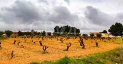 Finca agrícola y residencial en la provincia de Valencia