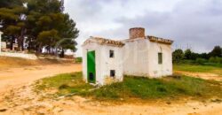 Finca agrícola y residencial en la provincia de Valencia