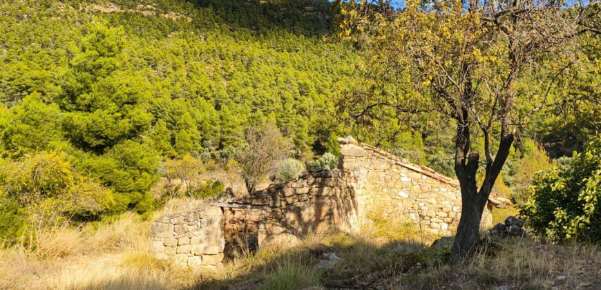Venta de finca rústica con masía en Teruel