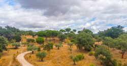 Venta de finca rústica de ocio y turismo rural en Badajoz