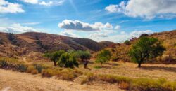 Finca cinegética a la venta en la provincia de Murcia