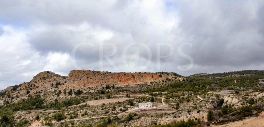 Finca de ocio con aprovechamiento agrícola y cinegético en Albacete